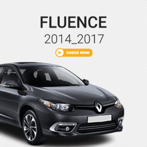 Fluence-2017